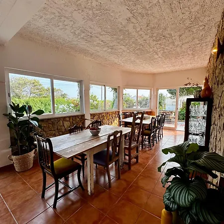 Gæstehus Wild Souls